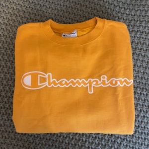 Small Champion Crewneck
